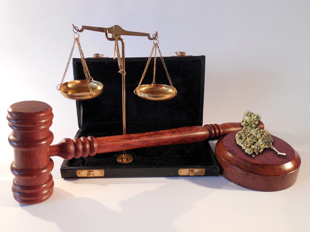 Read how the 2nd ruling deeming implementation of Florida's medical marijuana statute unconstitutional may impact you as the new administration takes office