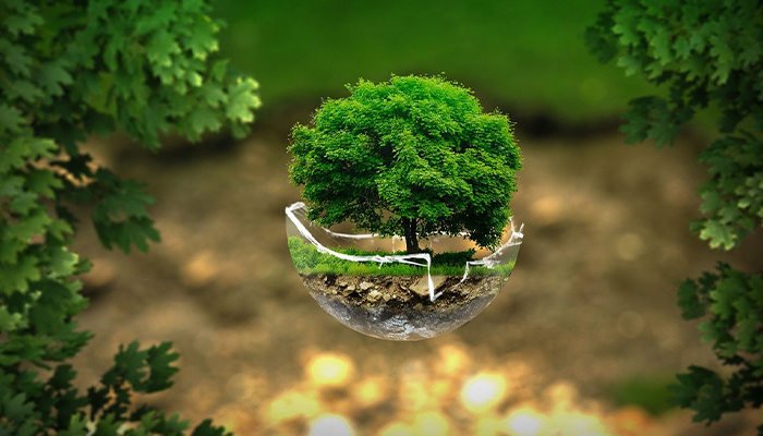 Environmental Diligence, Compliance, Permitting and Mitigation