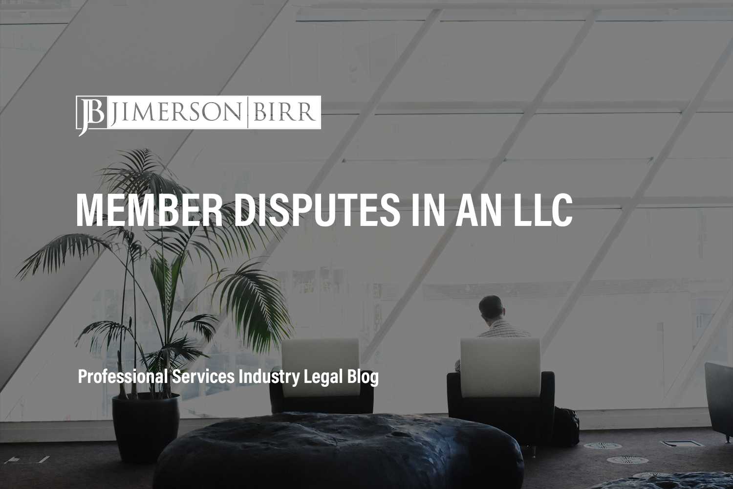 Member Disputes in an LLC