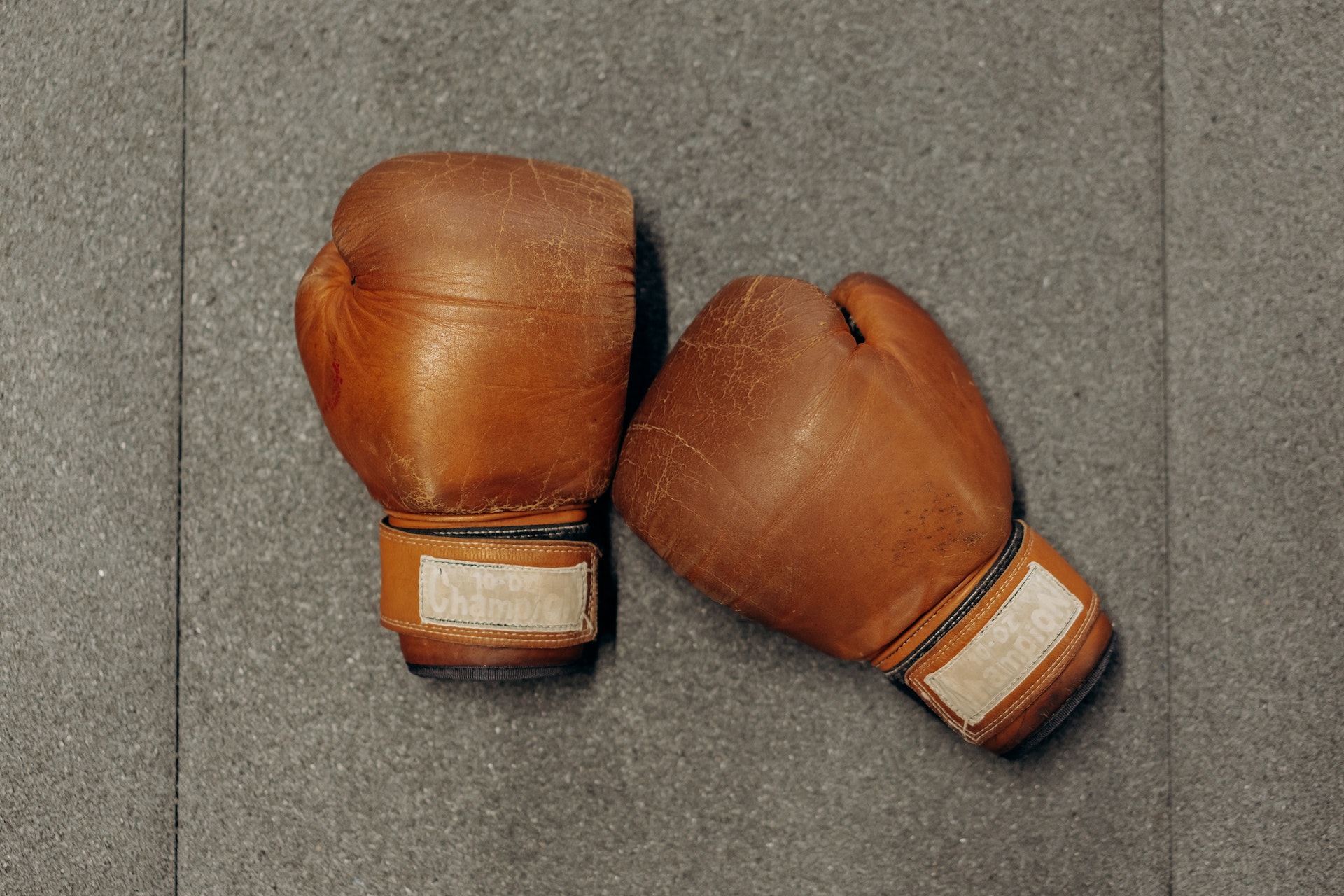 Boxing, Kickboxing, and Mixed Martial Arts (“MMA”) License Requirements