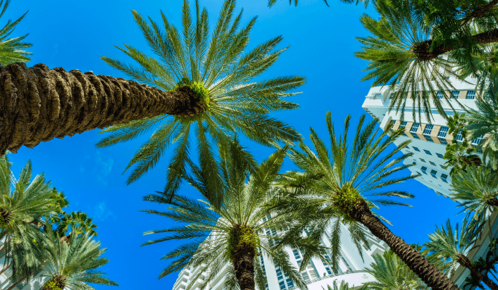 Florida Business Law Firm